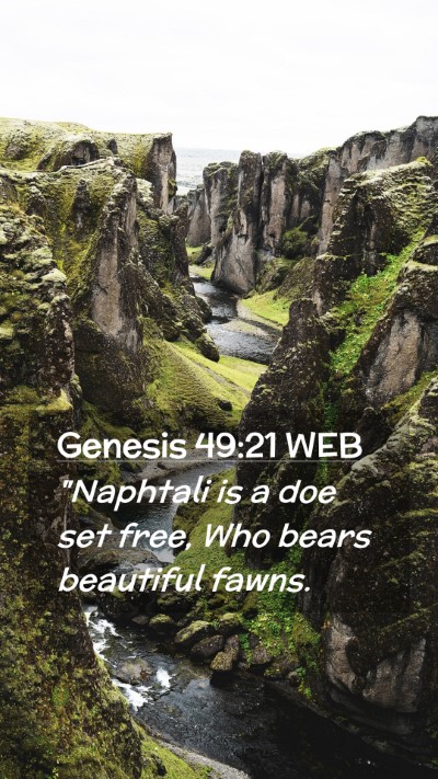 Picture 02 - Genesis 49:21 WEB Mobile Phone Wallpaper - 