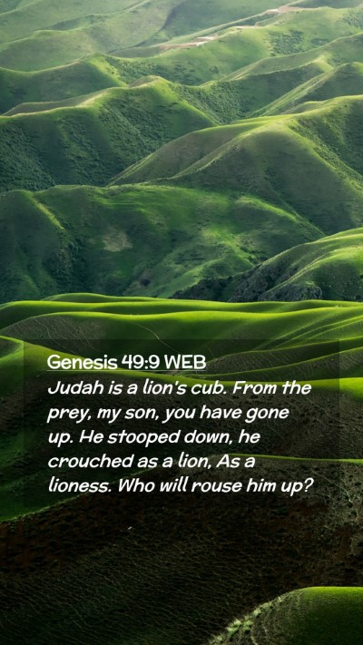 Picture 02 - Genesis 49:9 WEB Mobile Phone Wallpaper - Judah is a lion's cub. From the prey, my son, you - Mobile Bible Verse Wallpaper