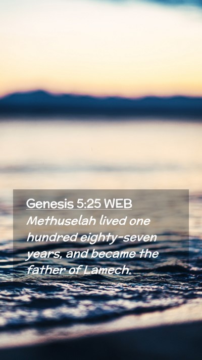 Picture 02 - Genesis 5:25 WEB Mobile Phone Wallpaper - Methuselah lived one hundred eighty-seven years, - Mobile Bible Verse Wallpaper