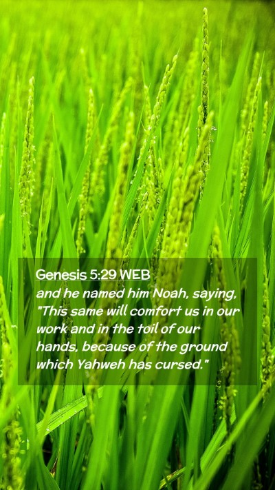 Picture 02 - Genesis 5:29 WEB Mobile Phone Wallpaper - and he named him Noah, saying, 