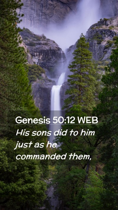 Picture 02 - Genesis 50:12 WEB Mobile Phone Wallpaper - His sons did to him just as he commanded - Mobile Bible Verse Wallpaper