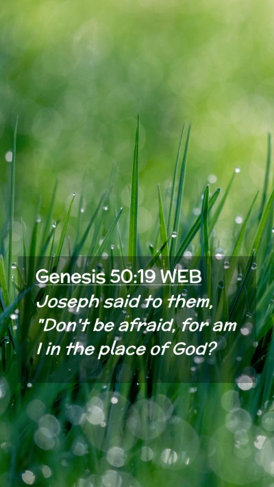 Picture 02 - Genesis 50:19 WEB Mobile Phone Wallpaper - Joseph said to them, 