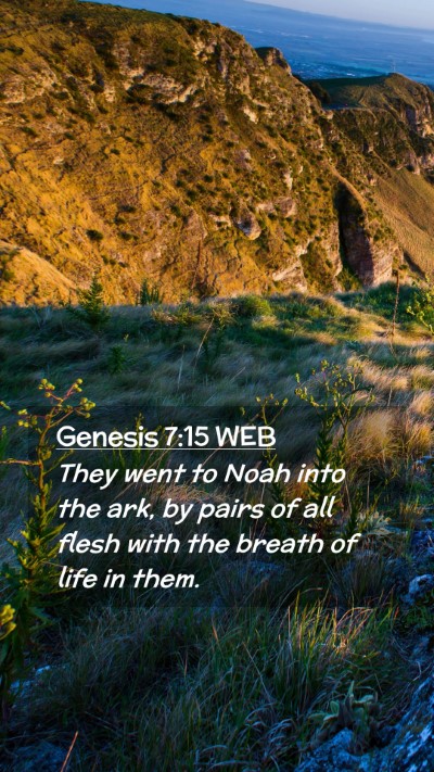 Picture 02 - Genesis 7:15 WEB Mobile Phone Wallpaper - They went to Noah into the ark, by pairs of all - Mobile Bible Verse Wallpaper