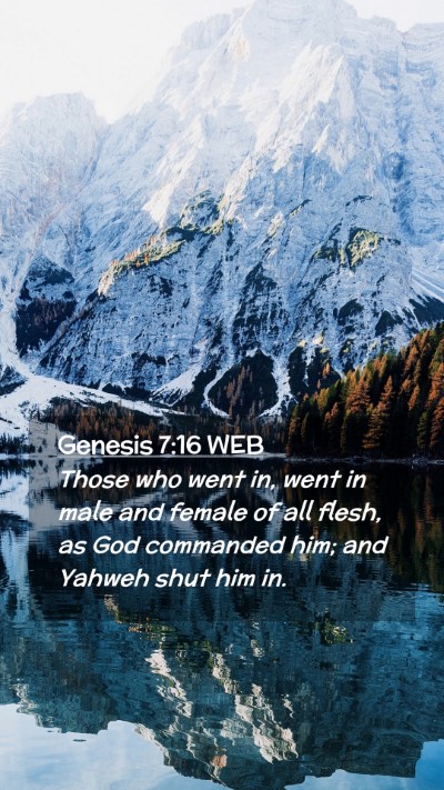 Picture 02 - Genesis 7:16 WEB Mobile Phone Wallpaper - Those who went in, went in male and female of all - Mobile Bible Verse Wallpaper