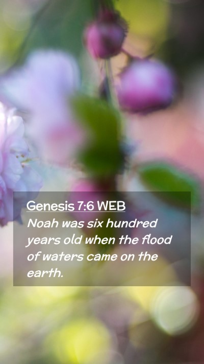 Picture 02 - Genesis 7:6 WEB Mobile Phone Wallpaper - Noah was six hundred years old when the flood of - Mobile Bible Verse Wallpaper