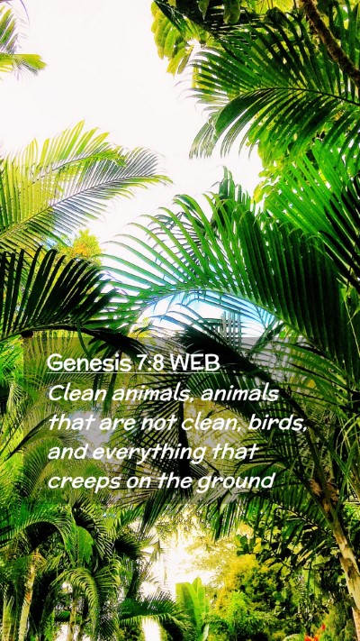 Picture 02 - Genesis 7:8 WEB Mobile Phone Wallpaper - Clean animals, animals that are not clean, birds, - Mobile Bible Verse Wallpaper