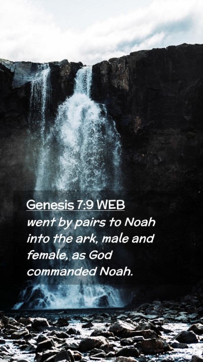Picture 02 - Genesis 7:9 WEB Mobile Phone Wallpaper - went by pairs to Noah into the ark, male and - Mobile Bible Verse Wallpaper