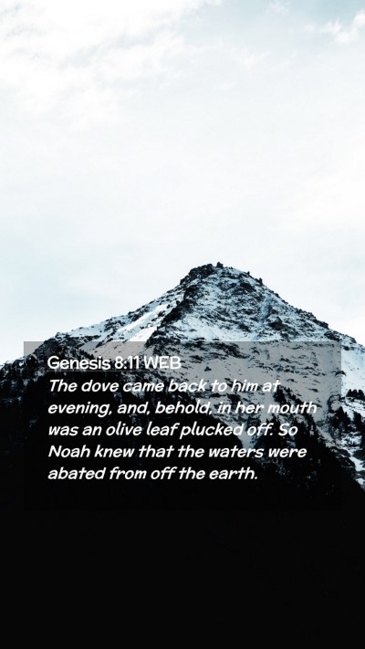 Picture 02 - Genesis 8:11 WEB Mobile Phone Wallpaper - The dove came back to him at evening, and, - Mobile Bible Verse Wallpaper