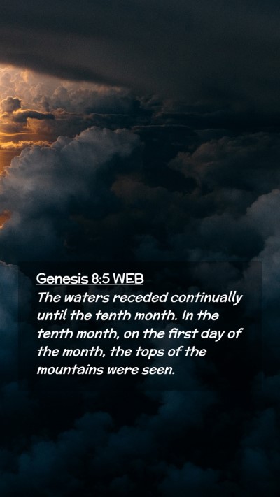 Picture 02 - Genesis 8:5 WEB Mobile Phone Wallpaper - The waters receded continually until the tenth - Mobile Bible Verse Wallpaper