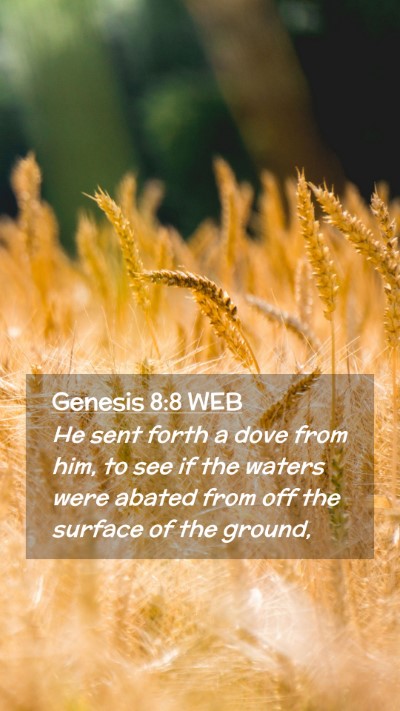 Picture 02 - Genesis 8:8 WEB Mobile Phone Wallpaper - He sent forth a dove from him, to see if the - Mobile Bible Verse Wallpaper