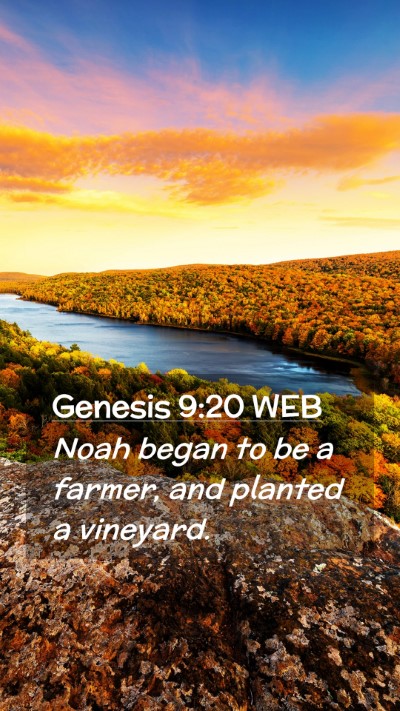 Picture 02 - Genesis 9:20 WEB Mobile Phone Wallpaper - Noah began to be a farmer, and planted a - Mobile Bible Verse Wallpaper