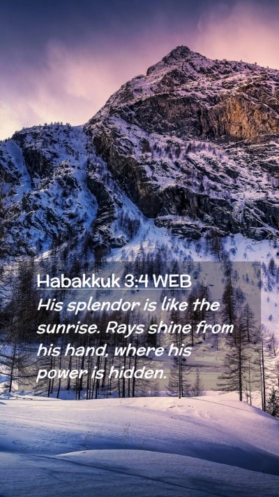 Picture 02 - Habakkuk 3:4 WEB Mobile Phone Wallpaper - His splendor is like the sunrise. Rays shine from - Mobile Bible Verse Wallpaper