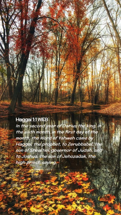 Picture 02 - Haggai 1:1 WEB Mobile Phone Wallpaper - In the second year of Darius the king, in the - Mobile Bible Verse Wallpaper
