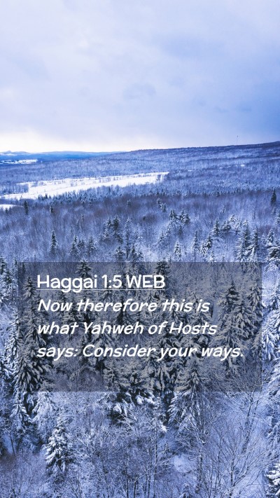 Picture 02 - Haggai 1:5 WEB Mobile Phone Wallpaper - Now therefore this is what Yahweh of Hosts says: - Mobile Bible Verse Wallpaper