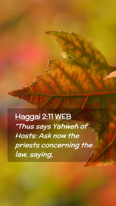 Picture 02 - Haggai 2:11 WEB Mobile Phone Wallpaper - 