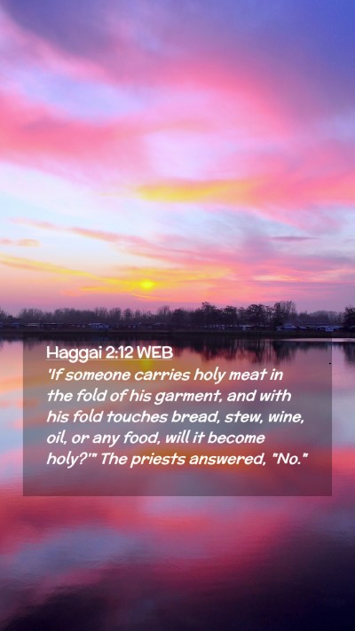 Picture 02 - Haggai 2:12 WEB Mobile Phone Wallpaper - 'If someone carries holy meat in the fold of his - Mobile Bible Verse Wallpaper