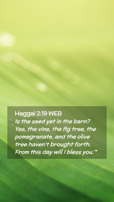 Picture 02 - Haggai 2:19 WEB Mobile Phone Wallpaper - Is the seed yet in the barn? Yes, the vine, the - Mobile Bible Verse Wallpaper