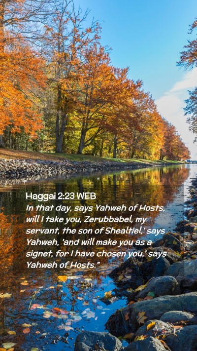 Picture 02 - Haggai 2:23 WEB Mobile Phone Wallpaper - In that day, says Yahweh of Hosts, will I take - Mobile Bible Verse Wallpaper