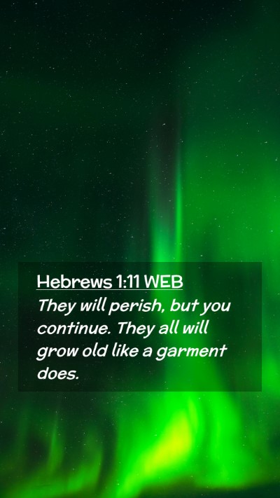 Picture 02 - Hebrews 1:11 WEB Mobile Phone Wallpaper - They will perish, but you continue. They all will - Mobile Bible Verse Wallpaper