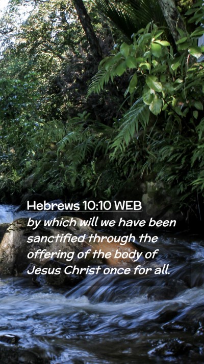 Picture 02 - Hebrews 10:10 WEB Mobile Phone Wallpaper - by which will we have been sanctified through the - Mobile Bible Verse Wallpaper