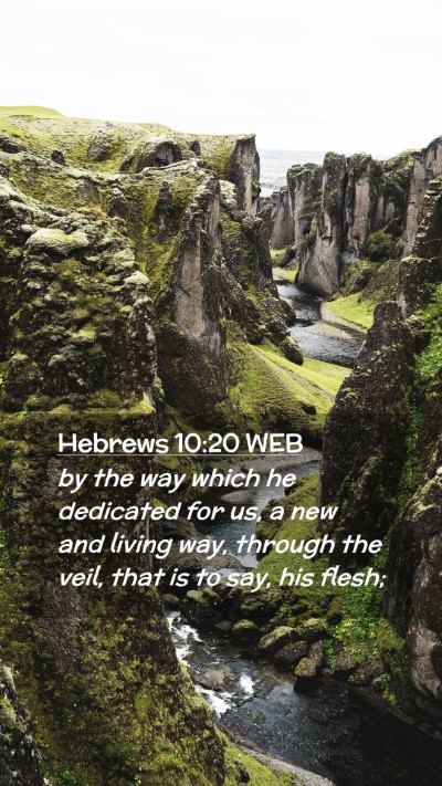 Picture 02 - Hebrews 10:20 WEB Mobile Phone Wallpaper - by the way which he dedicated for us, a new and - Mobile Bible Verse Wallpaper