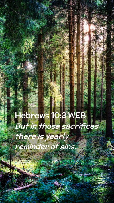Picture 02 - Hebrews 10:3 WEB Mobile Phone Wallpaper - But in those sacrifices there is yearly reminder - Mobile Bible Verse Wallpaper