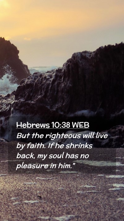 Picture 02 - Hebrews 10:38 WEB Mobile Phone Wallpaper - But the righteous will live by faith. If he - Mobile Bible Verse Wallpaper