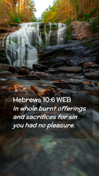 Picture 02 - Hebrews 10:6 WEB Mobile Phone Wallpaper - In whole burnt offerings and sacrifices for sin - Mobile Bible Verse Wallpaper