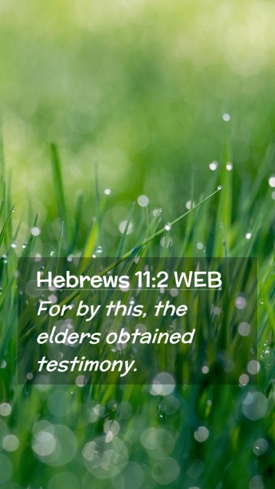 Picture 02 - Hebrews 11:2 WEB Mobile Phone Wallpaper - For by this, the elders obtained - Mobile Bible Verse Wallpaper