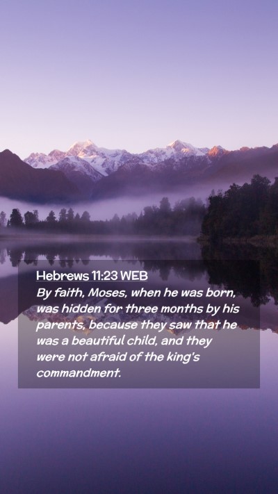Picture 02 - Hebrews 11:23 WEB Mobile Phone Wallpaper - By faith, Moses, when he was born, was hidden for - Mobile Bible Verse Wallpaper