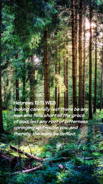 Picture 02 - Hebrews 12:15 WEB Mobile Phone Wallpaper - looking carefully lest there be any man who falls - Mobile Bible Verse Wallpaper
