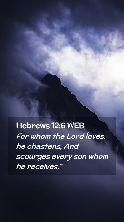 Picture 02 - Hebrews 12:6 WEB Mobile Phone Wallpaper - For whom the Lord loves, he chastens, And - Mobile Bible Verse Wallpaper