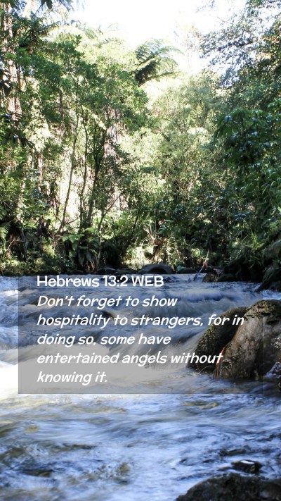 Picture 02 - Hebrews 13:2 WEB Mobile Phone Wallpaper - Don't forget to show hospitality to strangers, - Mobile Bible Verse Wallpaper