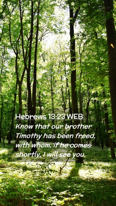 Picture 02 - Hebrews 13:23 WEB Mobile Phone Wallpaper - Know that our brother Timothy has been freed, - Mobile Bible Verse Wallpaper