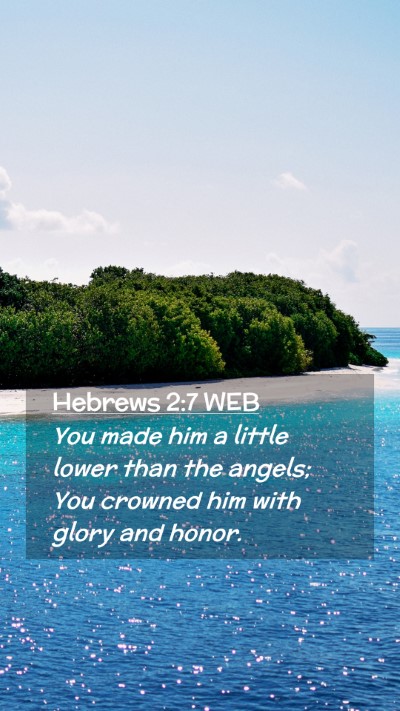 Picture 02 - Hebrews 2:7 WEB Mobile Phone Wallpaper - You made him a little lower than the angels; You - Mobile Bible Verse Wallpaper