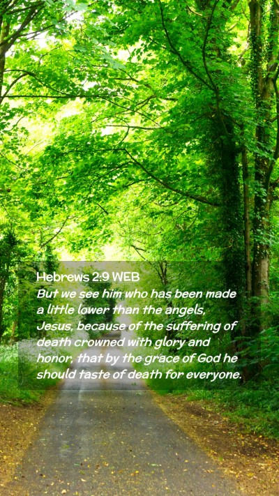 Picture 02 - Hebrews 2:9 WEB Mobile Phone Wallpaper - But we see him who has been made a little lower - Mobile Bible Verse Wallpaper