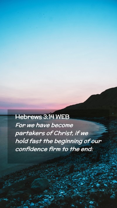 Picture 02 - Hebrews 3:14 WEB Mobile Phone Wallpaper - For we have become partakers of Christ, if we - Mobile Bible Verse Wallpaper