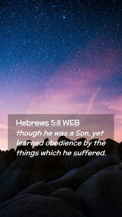 Picture 02 - Hebrews 5:8 WEB Mobile Phone Wallpaper - though he was a Son, yet learned obedience by the - Mobile Bible Verse Wallpaper