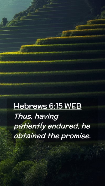 Picture 02 - Hebrews 6:15 WEB Mobile Phone Wallpaper - Thus, having patiently endured, he obtained the - Mobile Bible Verse Wallpaper