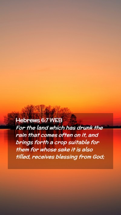 Picture 02 - Hebrews 6:7 WEB Mobile Phone Wallpaper - For the land which has drunk the rain that comes - Mobile Bible Verse Wallpaper