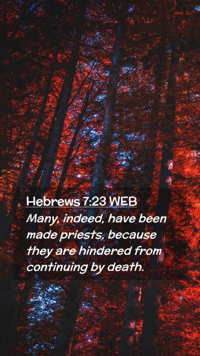 Picture 02 - Hebrews 7:23 WEB Mobile Phone Wallpaper - Many, indeed, have been made priests, because - Mobile Bible Verse Wallpaper