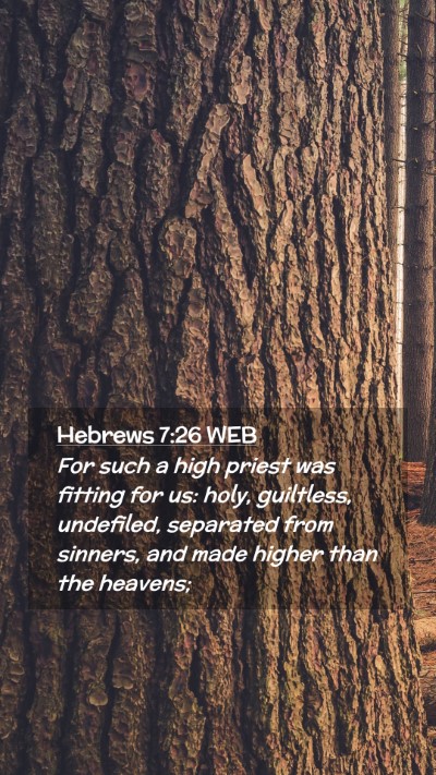 Picture 02 - Hebrews 7:26 WEB Mobile Phone Wallpaper - For such a high priest was fitting for us: holy, - Mobile Bible Verse Wallpaper