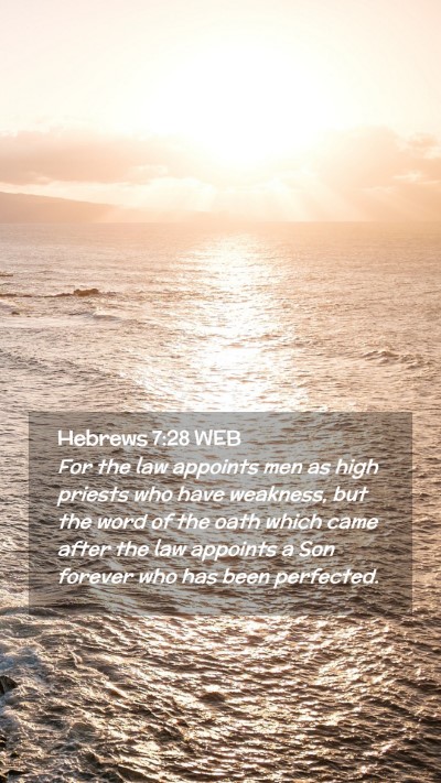 Picture 02 - Hebrews 7:28 WEB Mobile Phone Wallpaper - For the law appoints men as high priests who have - Mobile Bible Verse Wallpaper
