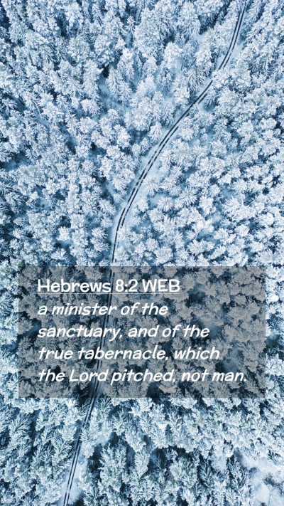 Picture 02 - Hebrews 8:2 WEB Mobile Phone Wallpaper - a minister of the sanctuary, and of the true - Mobile Bible Verse Wallpaper
