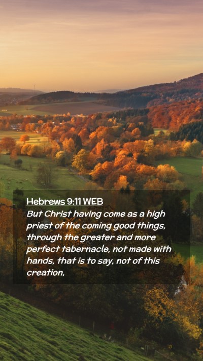 Picture 02 - Hebrews 9:11 WEB Mobile Phone Wallpaper - But Christ having come as a high priest of the - Mobile Bible Verse Wallpaper