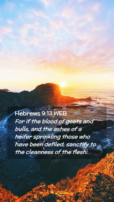 Picture 02 - Hebrews 9:13 WEB Mobile Phone Wallpaper - For if the blood of goats and bulls, and the - Mobile Bible Verse Wallpaper