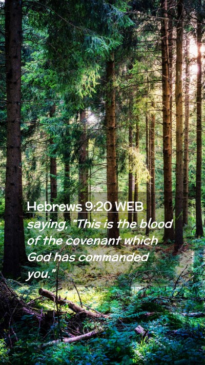 Picture 02 - Hebrews 9:20 WEB Mobile Phone Wallpaper - saying, 