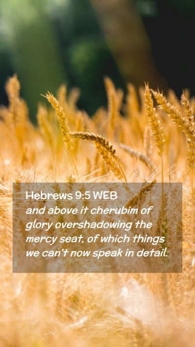 Picture 02 - Hebrews 9:5 WEB Mobile Phone Wallpaper - and above it cherubim of glory overshadowing the - Mobile Bible Verse Wallpaper