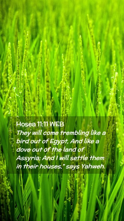 Picture 02 - Hosea 11:11 WEB Mobile Phone Wallpaper - They will come trembling like a bird out of - Mobile Bible Verse Wallpaper