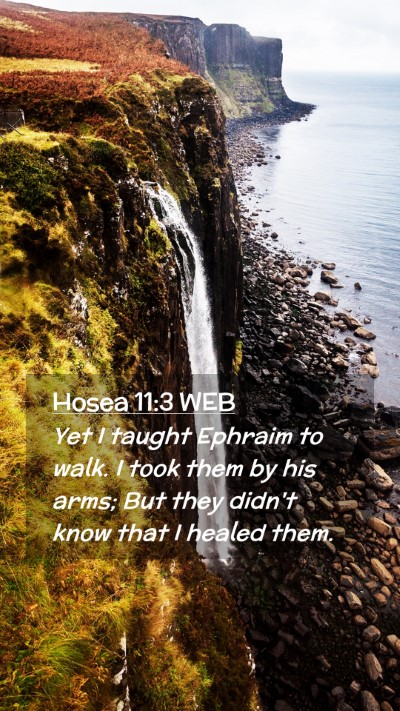 Picture 02 - Hosea 11:3 WEB Mobile Phone Wallpaper - Yet I taught Ephraim to walk. I took them by his - Mobile Bible Verse Wallpaper